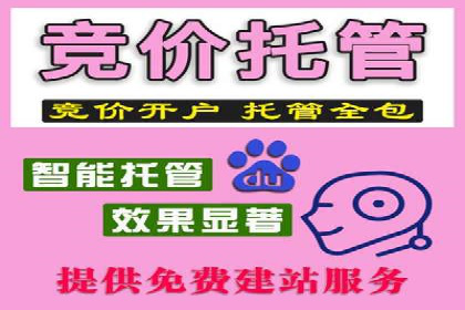 信息流广告的投放策略与效果监测：某零售商的成功经验